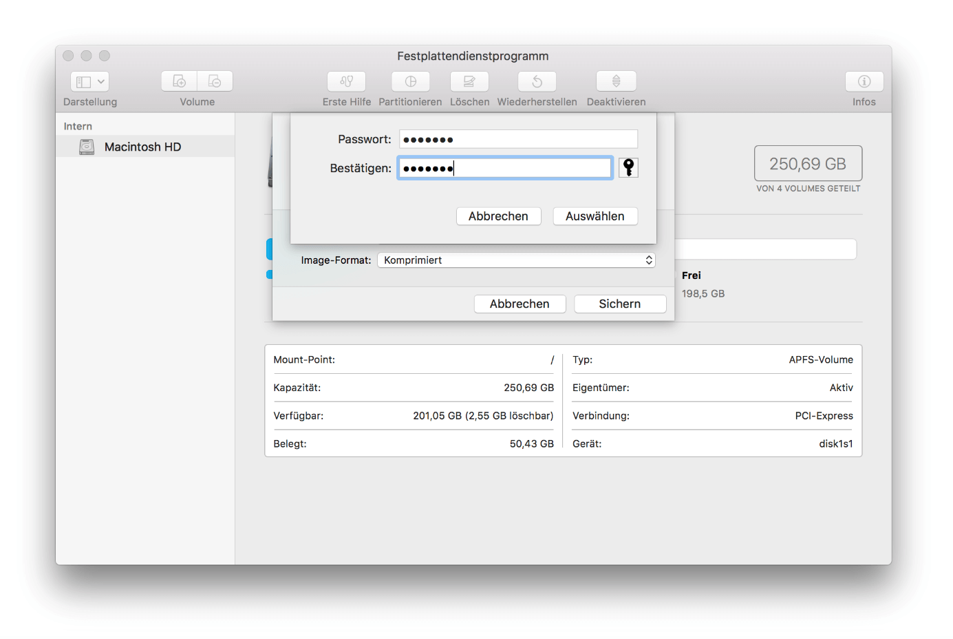 macOS-Festplattendienstprogramm: Passworteingabe