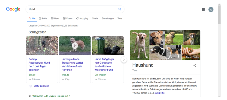 Google Knowledge Graph zur Suchanfrage „Hund”