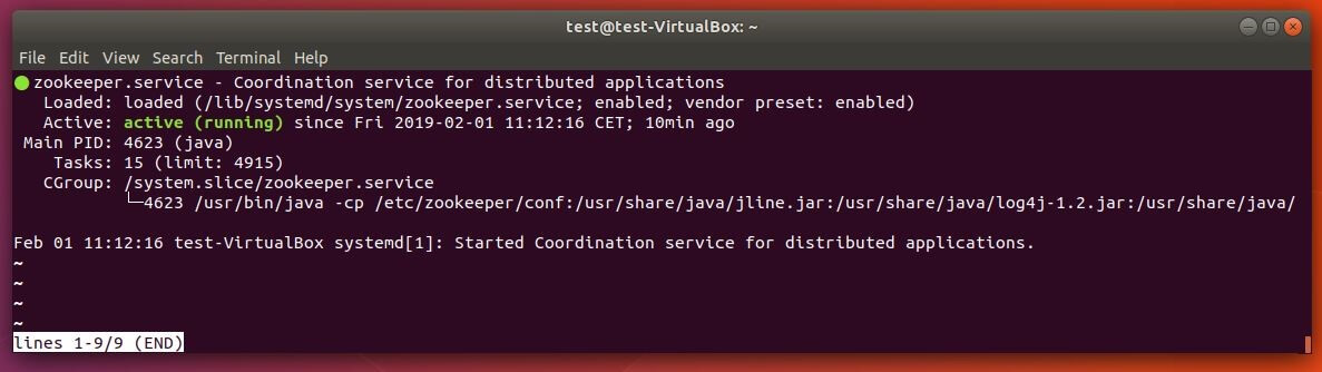 Ubuntu-Terminal: Rückmeldung des aktiven ZooKeeper-Services