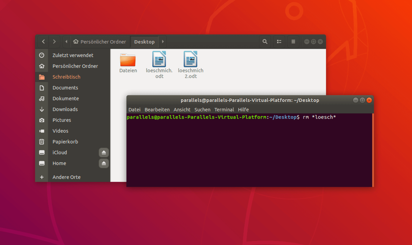 Dateien mit bestimmten Dateinamen über das Terminal in Linux löschen
