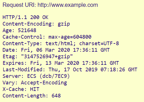 Screenshot eines HTTP-Response-Headers