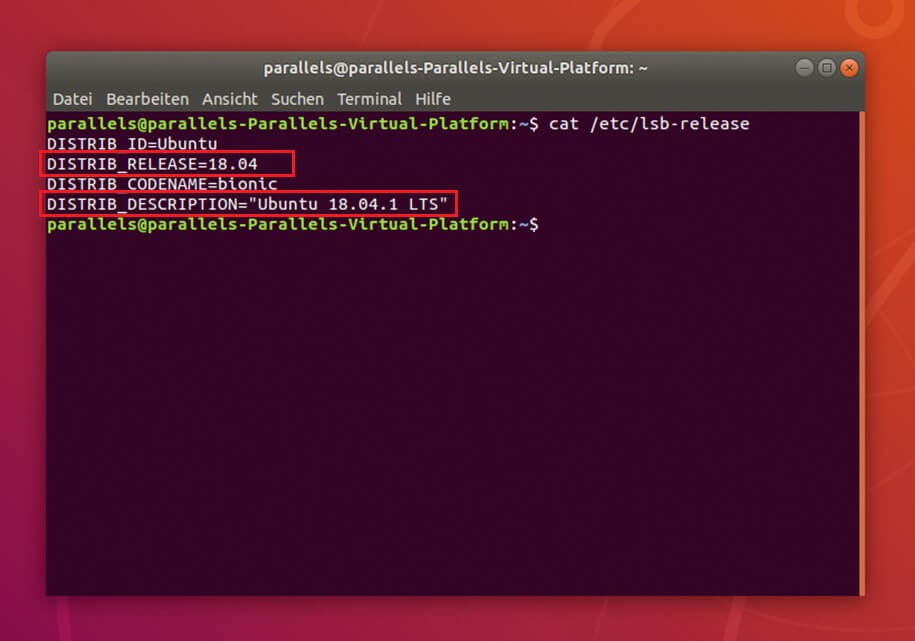 Terminal liest den Inhalt der Datei /etc/lsb-release inklusive der verwendeten Ubuntu-Version aus