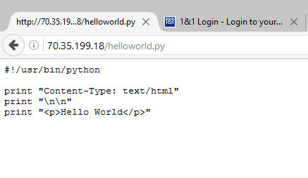 Python-Skript wird nicht in einem Browser ausgeführt