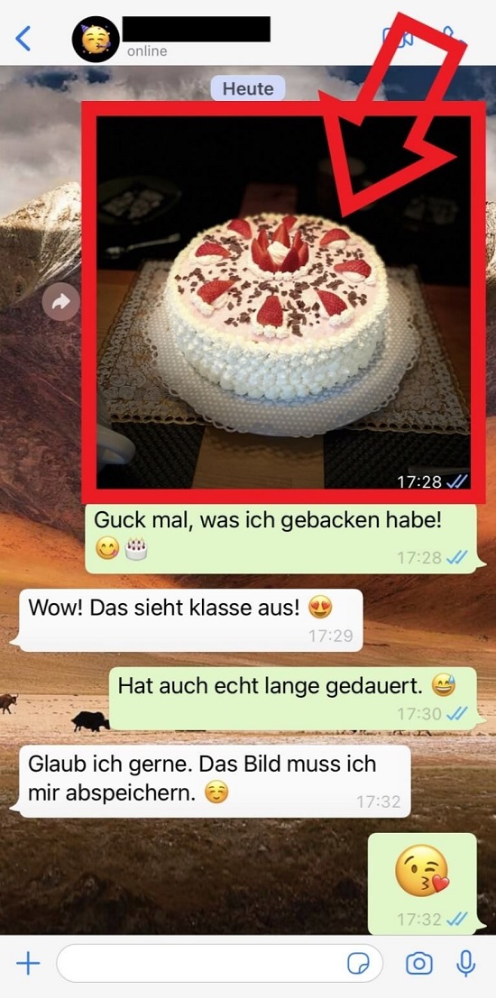 iPhone-Screenshot von einem WhatsApp-Chat mit Kuchen-Foto