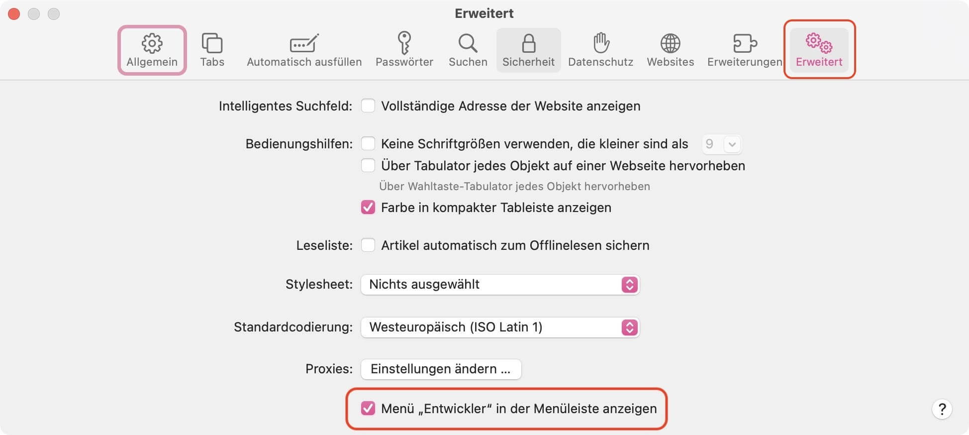 „Entwickler“-Menü in den erweiterten Einstellungen von Safari