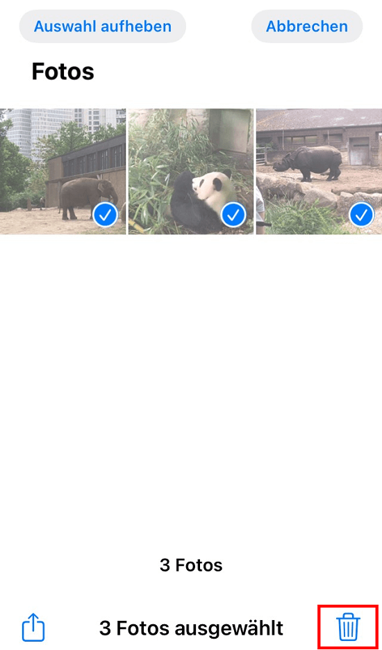 Screenshot der Foto-App auf dem iPhone
