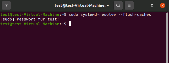 Ubuntu 20.04: DNS-Cache löschen (systemd-resolved)
