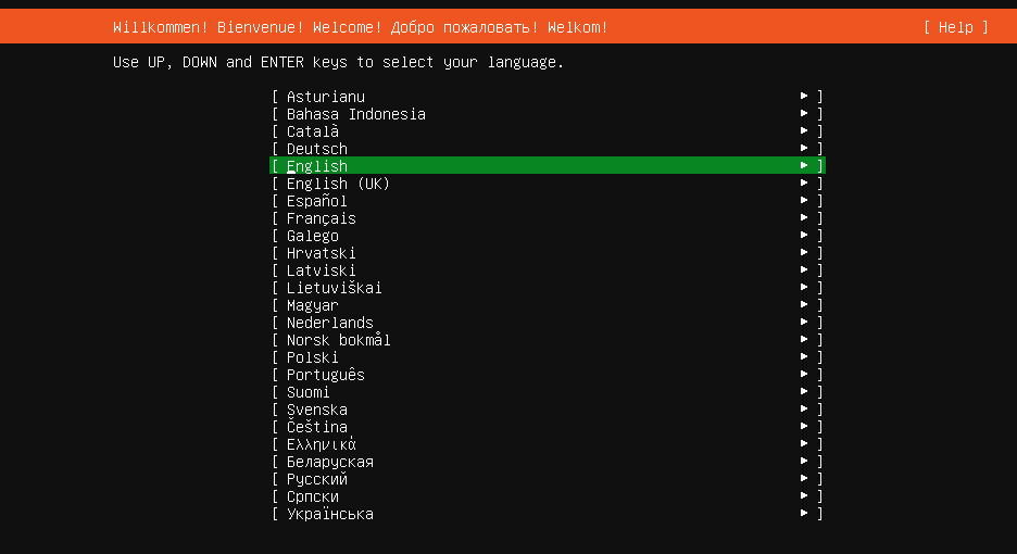 Ubuntu-Server-Installation: Sprachauswahl