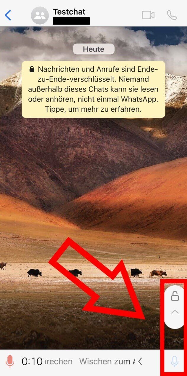 iPhone-Screenshot der Sprachaufnahme-Funktion in WhatsApp
