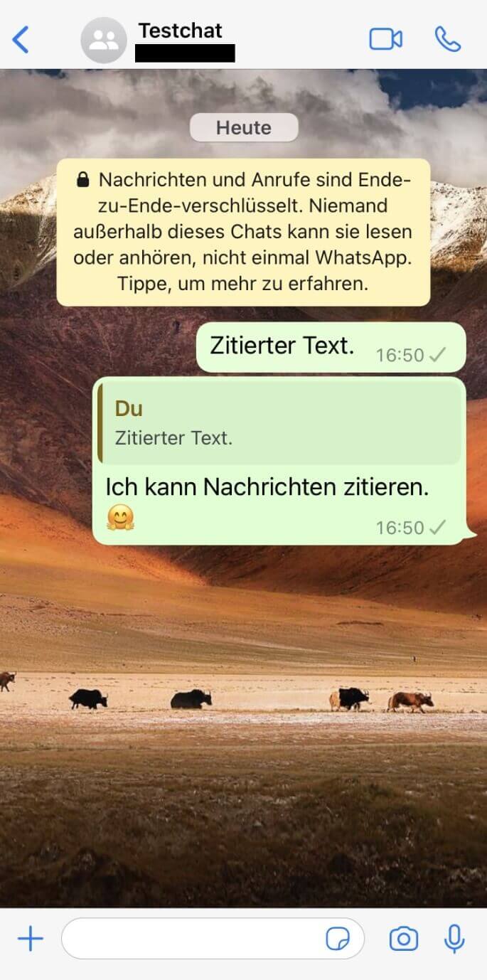 iPhone-Screenshot eines WhatsApp-Chats mit einer Nachricht samt zitierter Textstelle