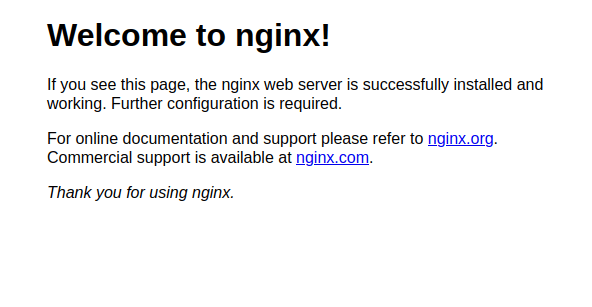 Willkommensbotschaft eines Nginx-Webservers im Browser
