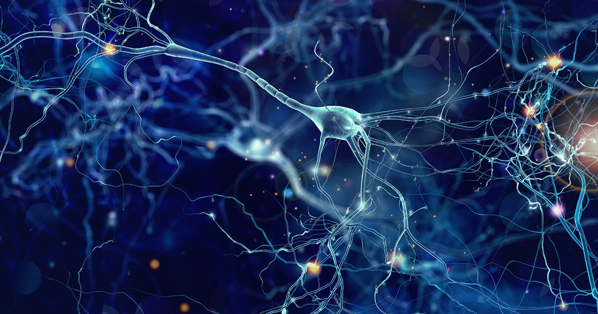 Neural Networks: Was können künstliche neuronale Netze?
