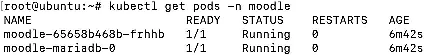 Bild: Pods im Terminal
