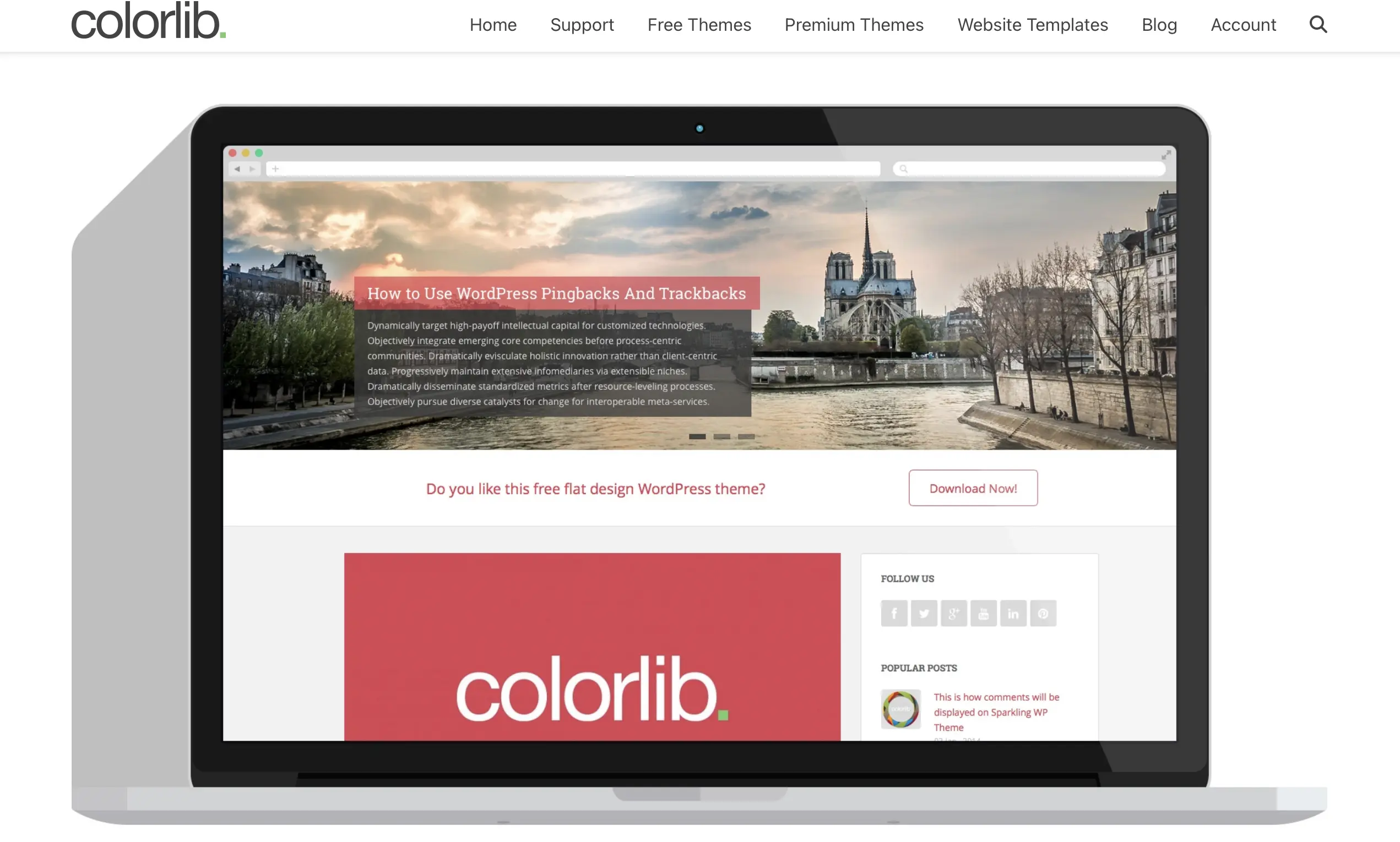 Bild: Startseite des Sparkling-Entwicklers Colorlib