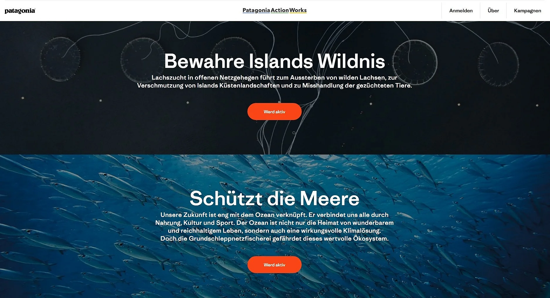 Bild: Patagonia-Website zu Patagonia Action Works Kampagnen
