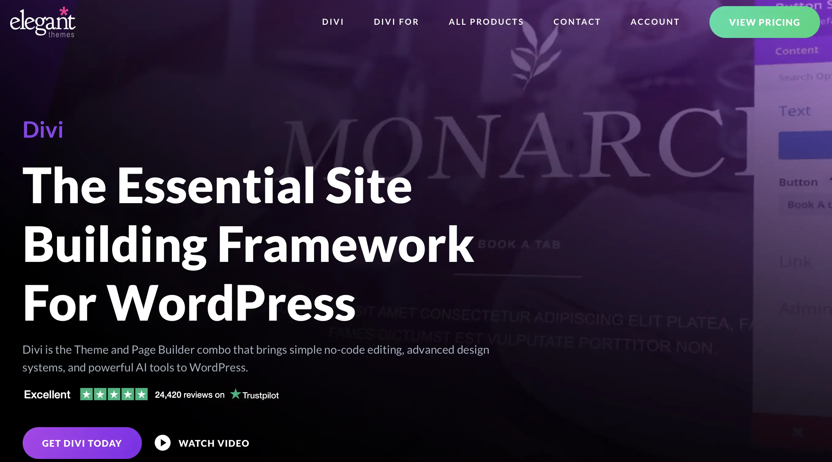 Bild: Startseite der Divi-Entwickler Elegant Themes