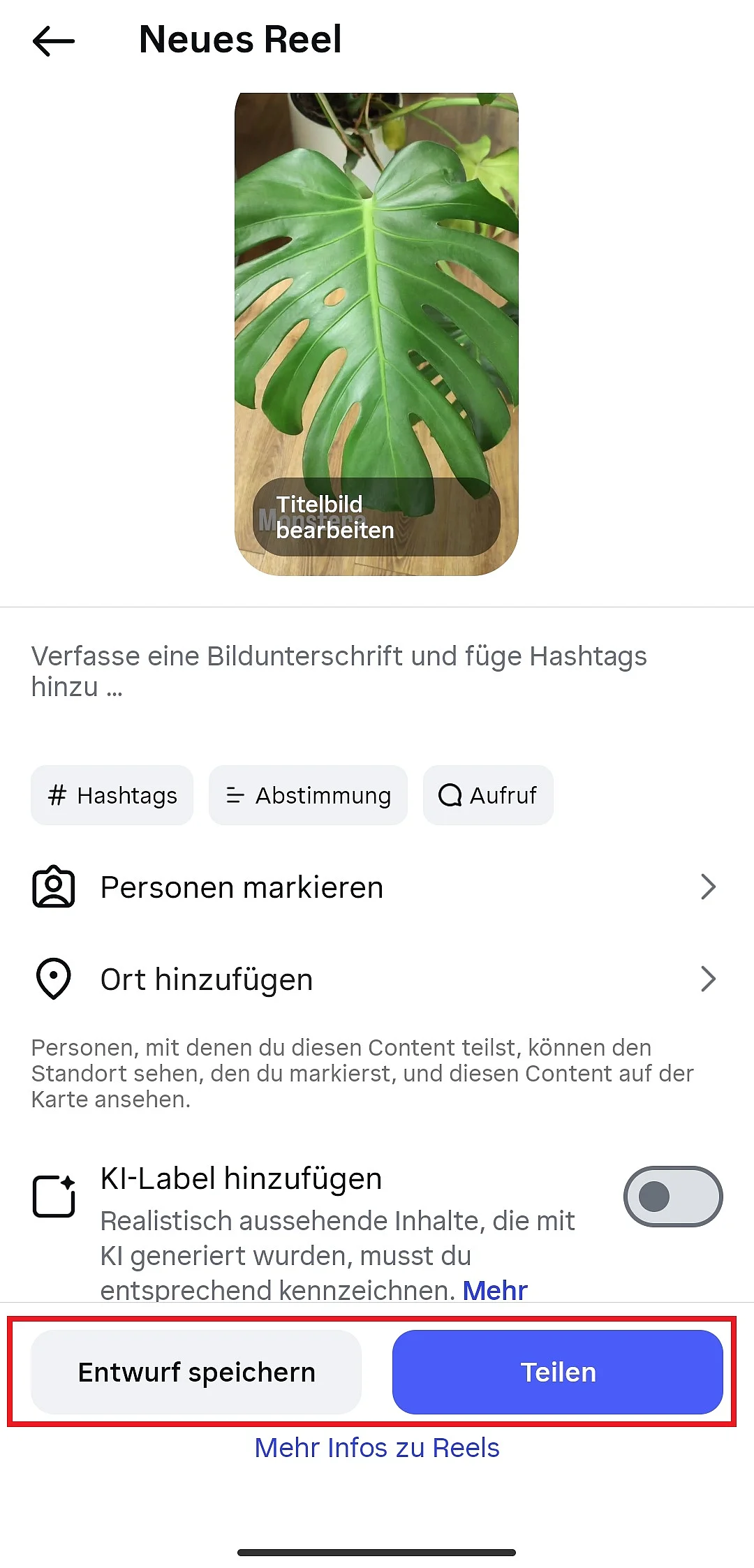 Bild: Reels veröffentlichen