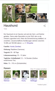 Knowledge Panel des Knowledge Graph