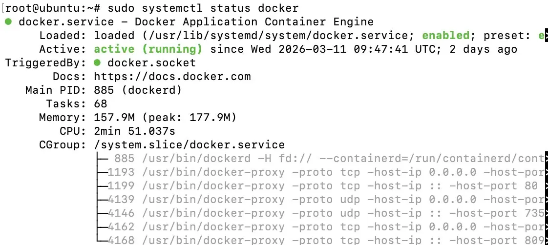 Statusanzeige von Docker auf Ihrem Ollama-Server Bild: Statusanzeige von Docker auf Ihrem Ollama-Server