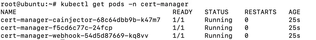 Bild: Cert-Manager Install mit Helm