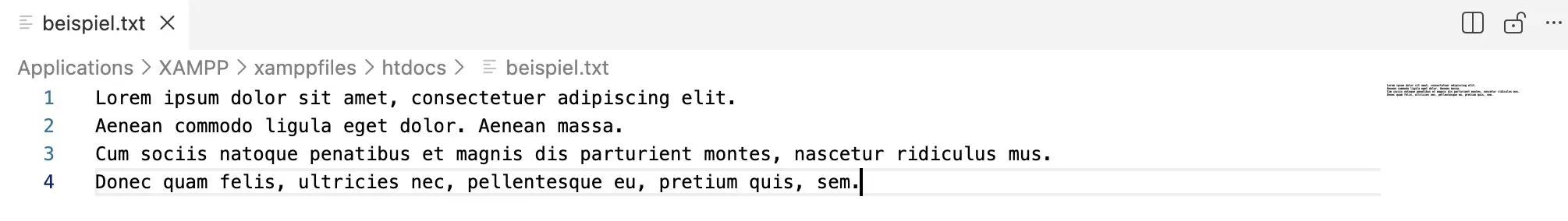 Bild: Textdatei mir vier Zeilen Beispieltext