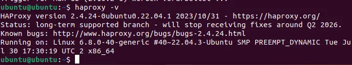 Bild: Screenshot der aktuellen HAProxy-Version im Terminal