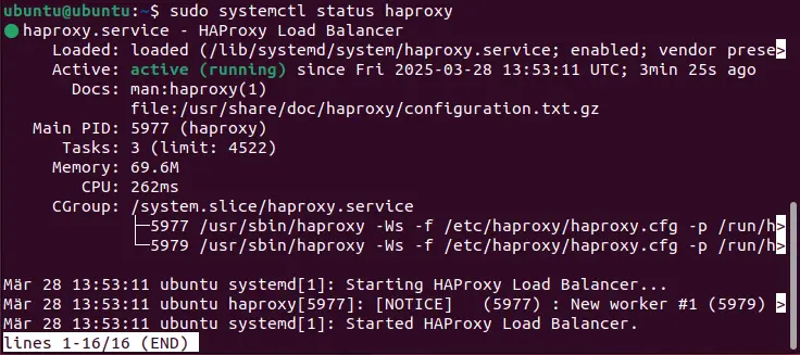 Bild: Screenshot des aktuellen HAProxy-Status im Terminal