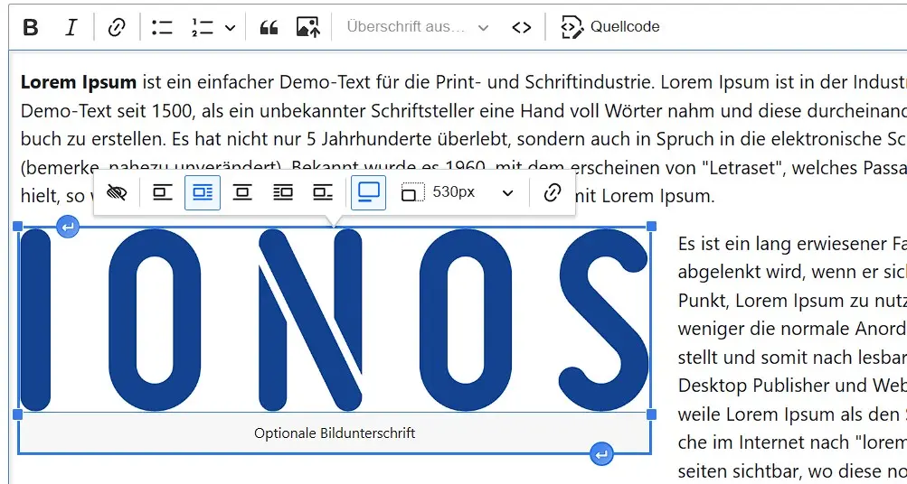 Drupal-Text mit eingefügtem Bild Bild: Drupal-Text mit eingefügtem Bild
