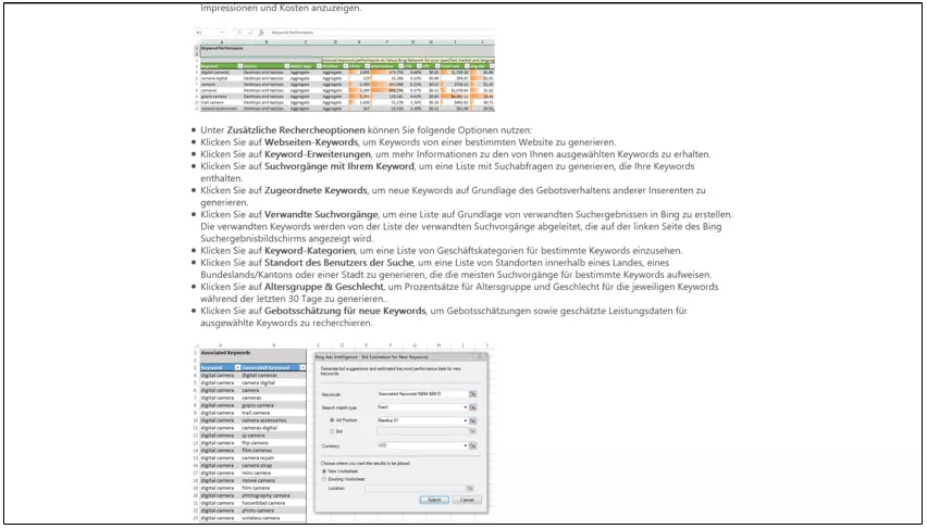 Bing Ads Intelligence Tool