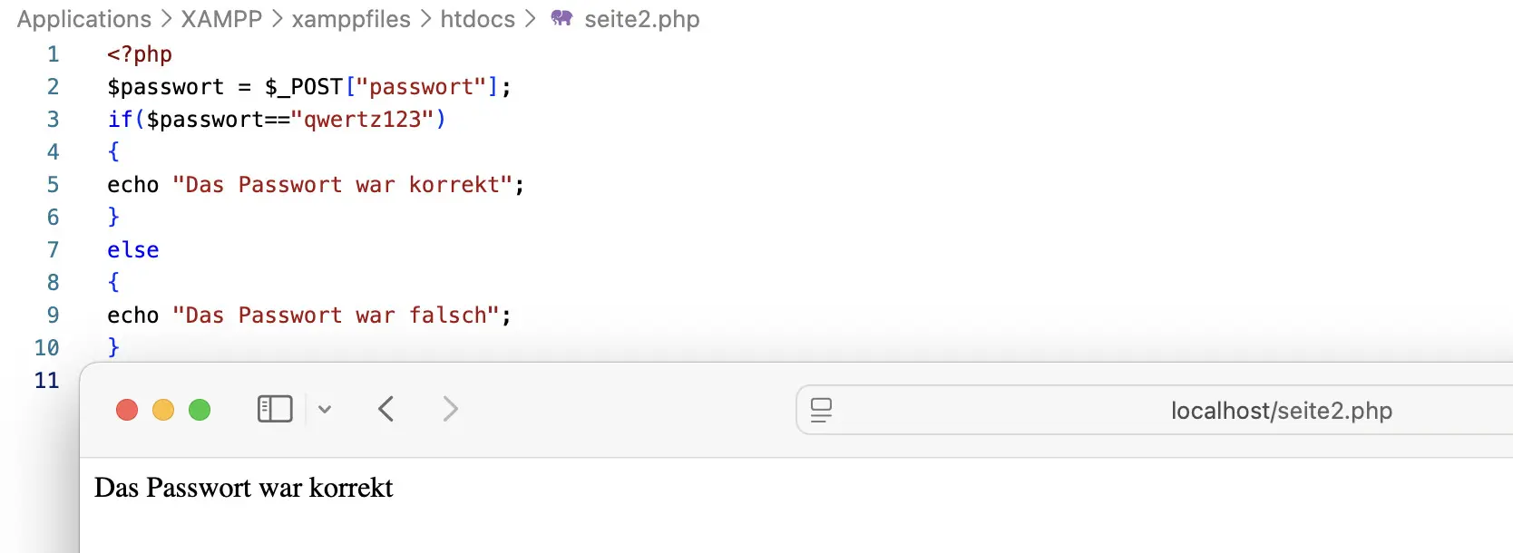 Bild: Die Passwortabfrage war korrekt