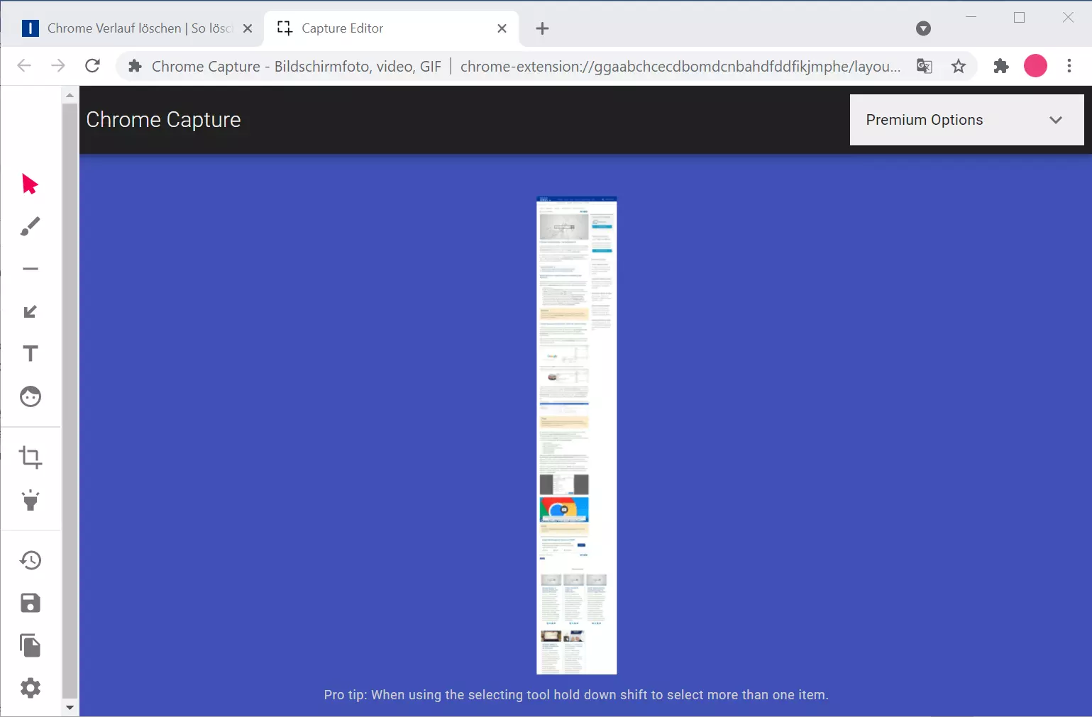 Bild: Screenshot des Editors von Chrome Capture