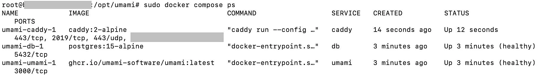 Terminalausgabe Docker Compose Bild: Terminalausgabe Docker Compose