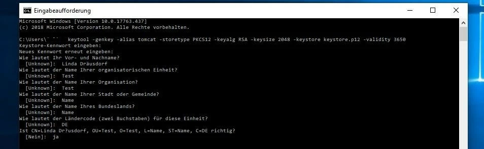 Generierung eines selbstsignierten SSL/TLS-Zertifikats über die Windows-Eingabeaufforderung