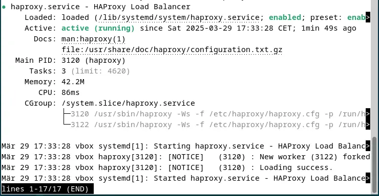 Screenshot des aktuellen HAProxy-Status im Terminal Bild: Screenshot des aktuellen HAProxy-Status im Terminal
