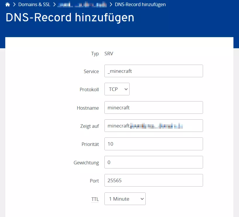 Anlegen eines SRV-Records im IONOS Nutzerkonto