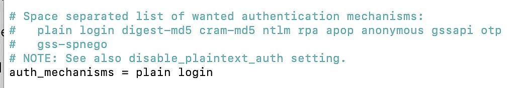 Bild: Anzeige der 10-auth.conf-Datei