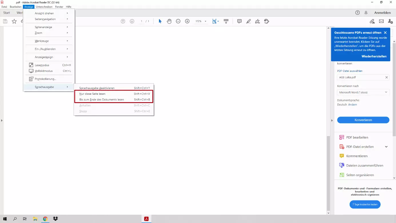 Bild: Adobe Acrobat Reader: Zusätzliche Optionen „Nur diese Seite lesen“ und „Bis zum Ende des Dokuments lesen“