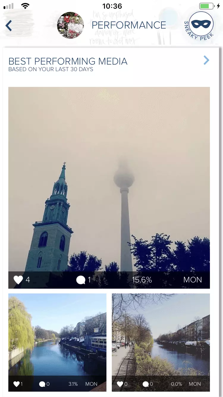 Bild: Performance-Bereich der Instagram-Statistik-App Plann]