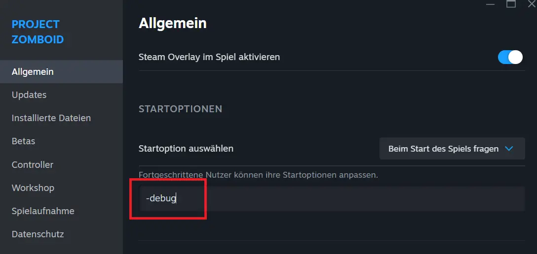 Bild: debug-Eintrag in den Steam-Startoptionen