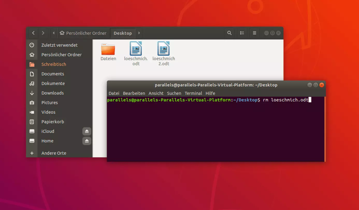 Einzelne Datei über das Terminal in Linux löschen