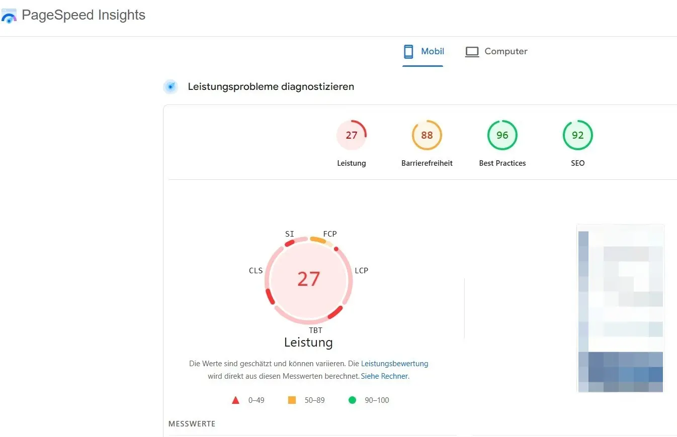 Bild: PageSpeed Insights Leistungsübersicht