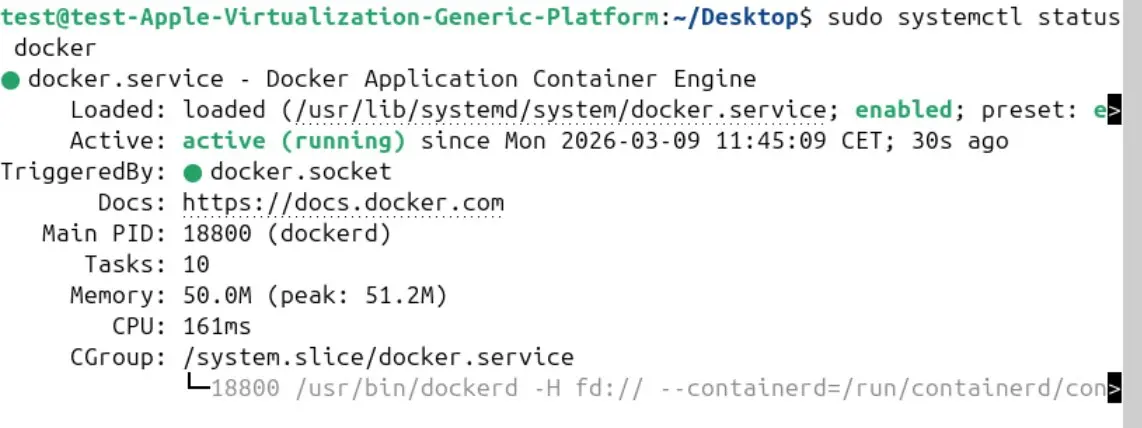 Bild: Anzeige des Status von Docker