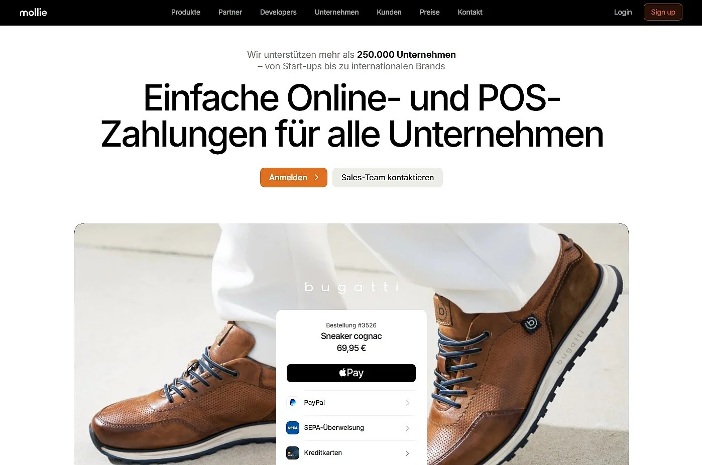 Bild: Startseite von Mollie