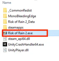 Bild: Screenshot der Risk of Rain 2.exe-Datei
