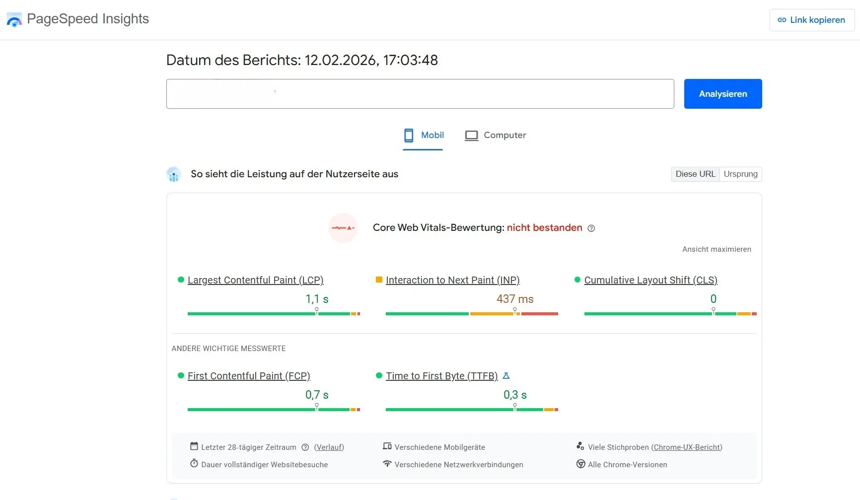 Bild: Ansicht der Core Web Vitals in PageSpeed Insights