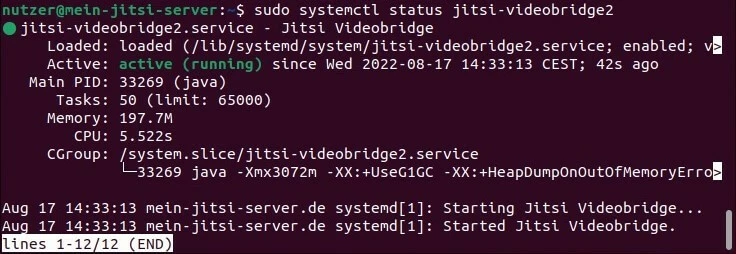 Bild: Jitsi-Meet-Server: Aktivitäts-Check via Ubuntu-Terminal