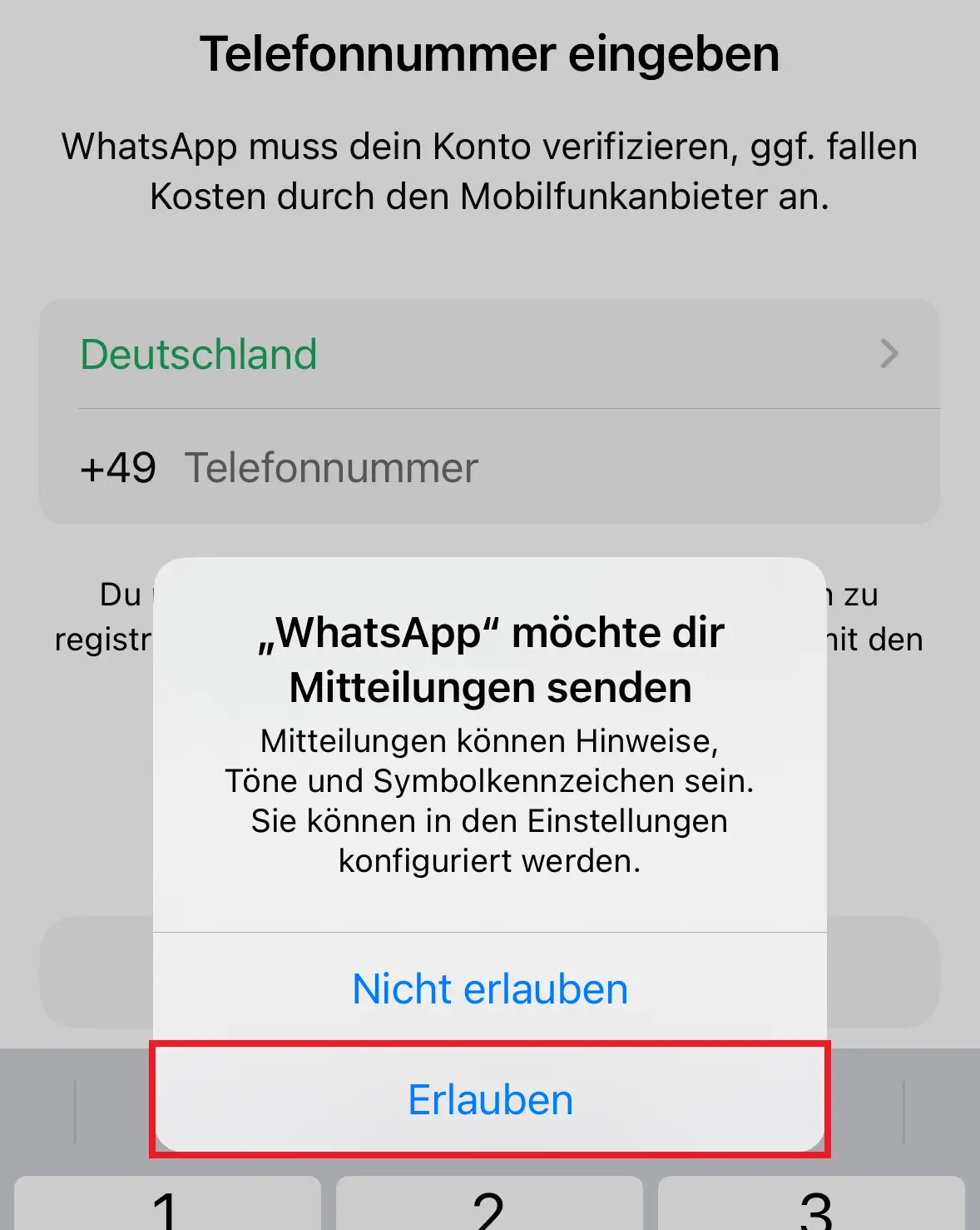 Mitteilungen von WhatsApp bestätigen Bild: Mitteilungen von WhatsApp bestätigen