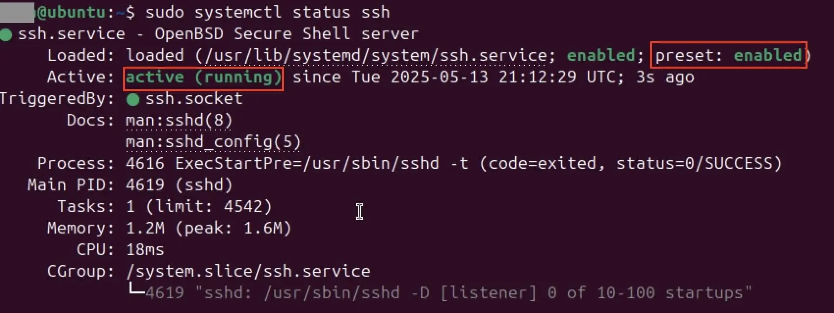 Screenshot des Status von SSH im Terminal Bild: Screenshot des Status von SSH im Terminal