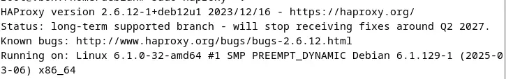 Screenshot der aktuellen HAProxy-Version im Terminal Bild: Screenshot der aktuellen HAProxy-Version im Terminal