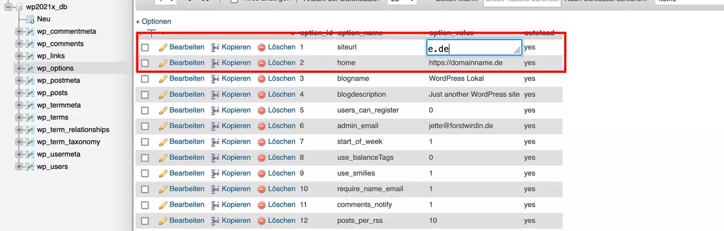 Bild: wp_options in der WordPress-Datenbank